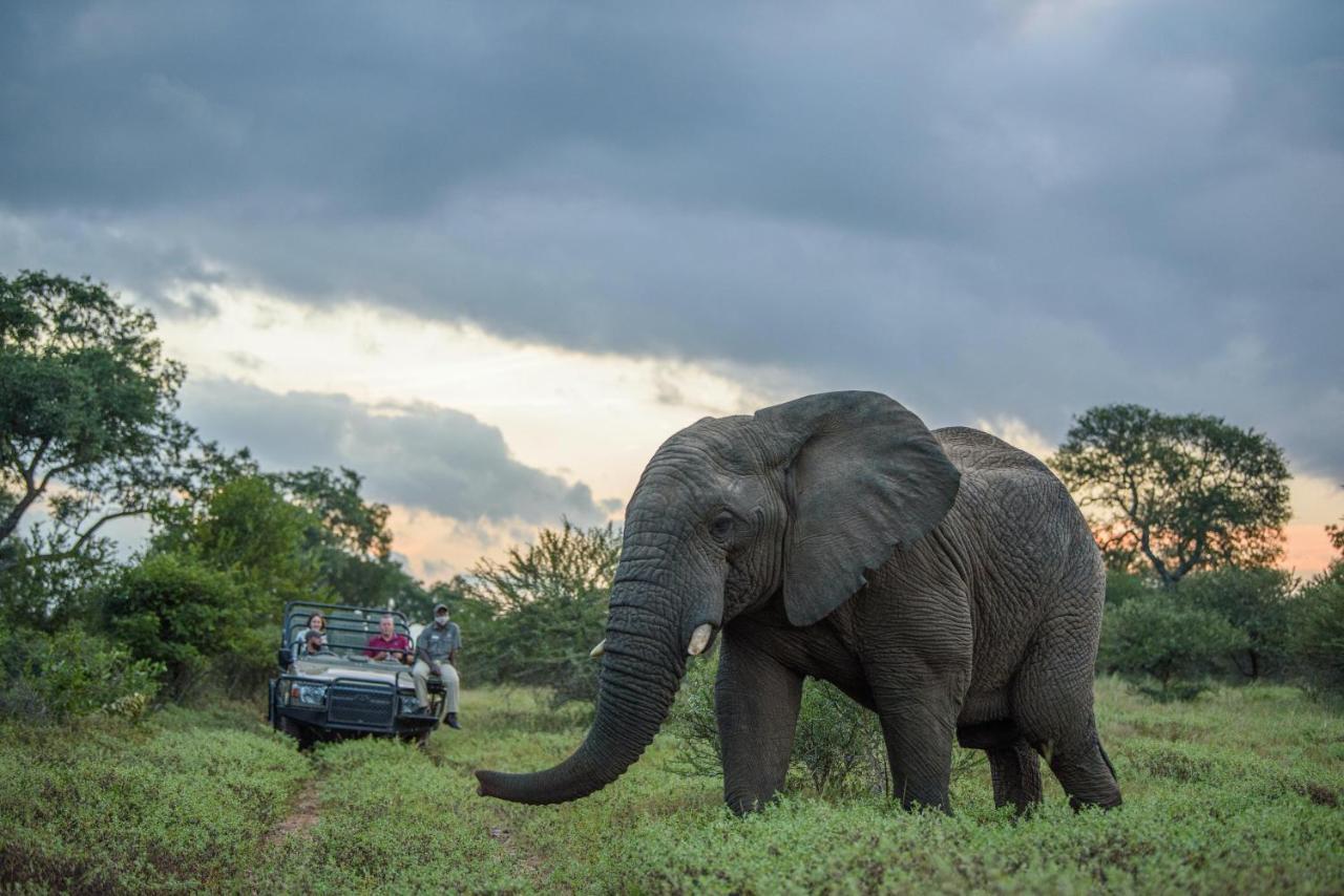 Вілла Kapama Southern Camp Kapama Game Reserve Екстер'єр фото