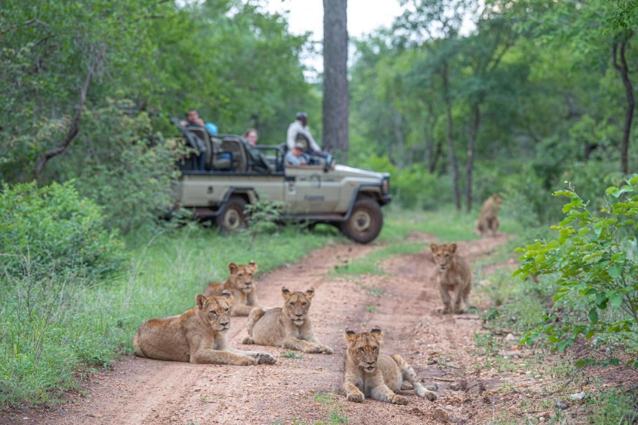 Вілла Kapama Southern Camp Kapama Game Reserve Екстер'єр фото