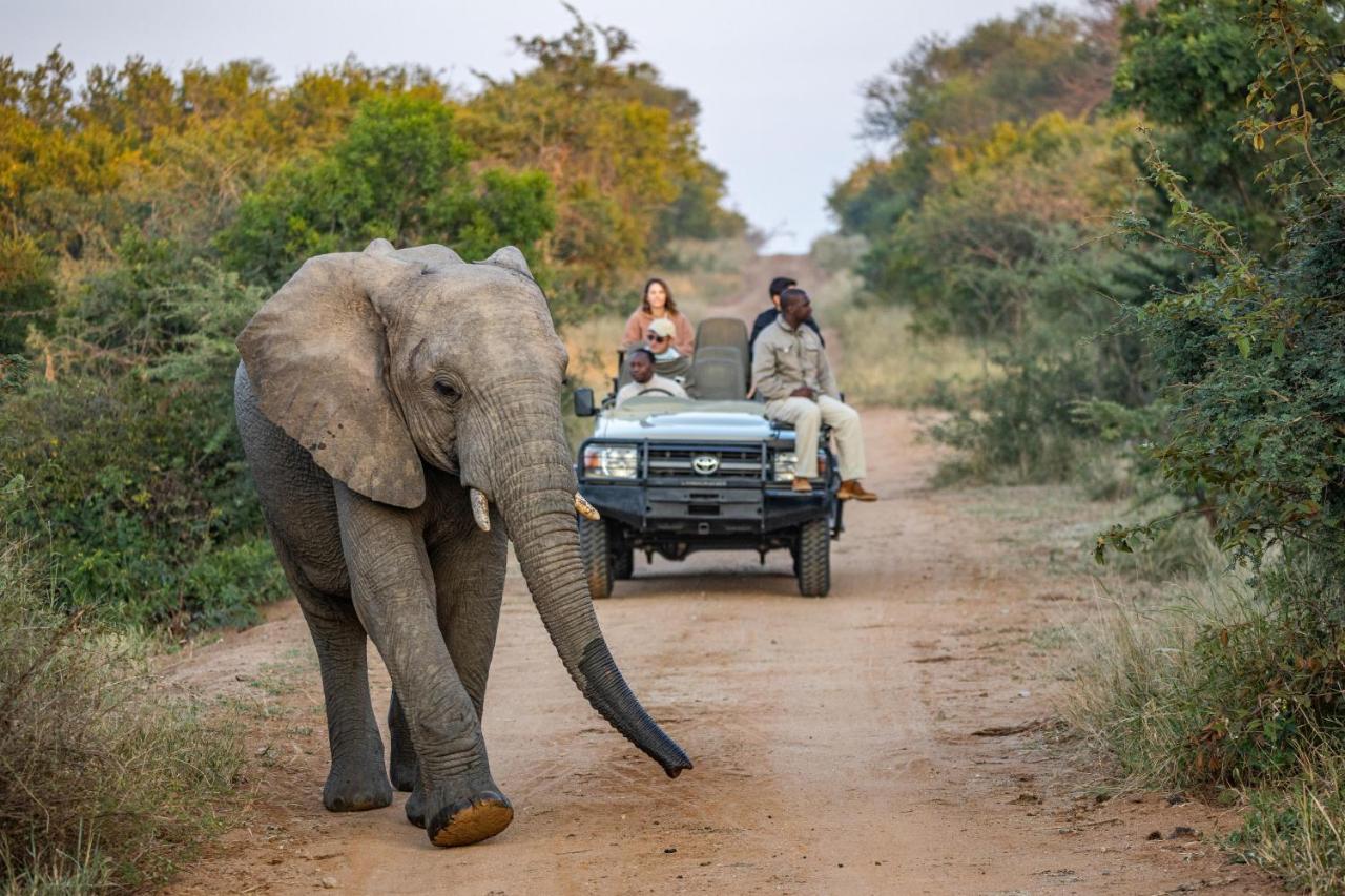 Вілла Kapama Southern Camp Kapama Game Reserve Екстер'єр фото