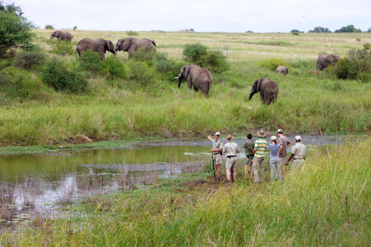 Вілла Kapama Southern Camp Kapama Game Reserve Екстер'єр фото