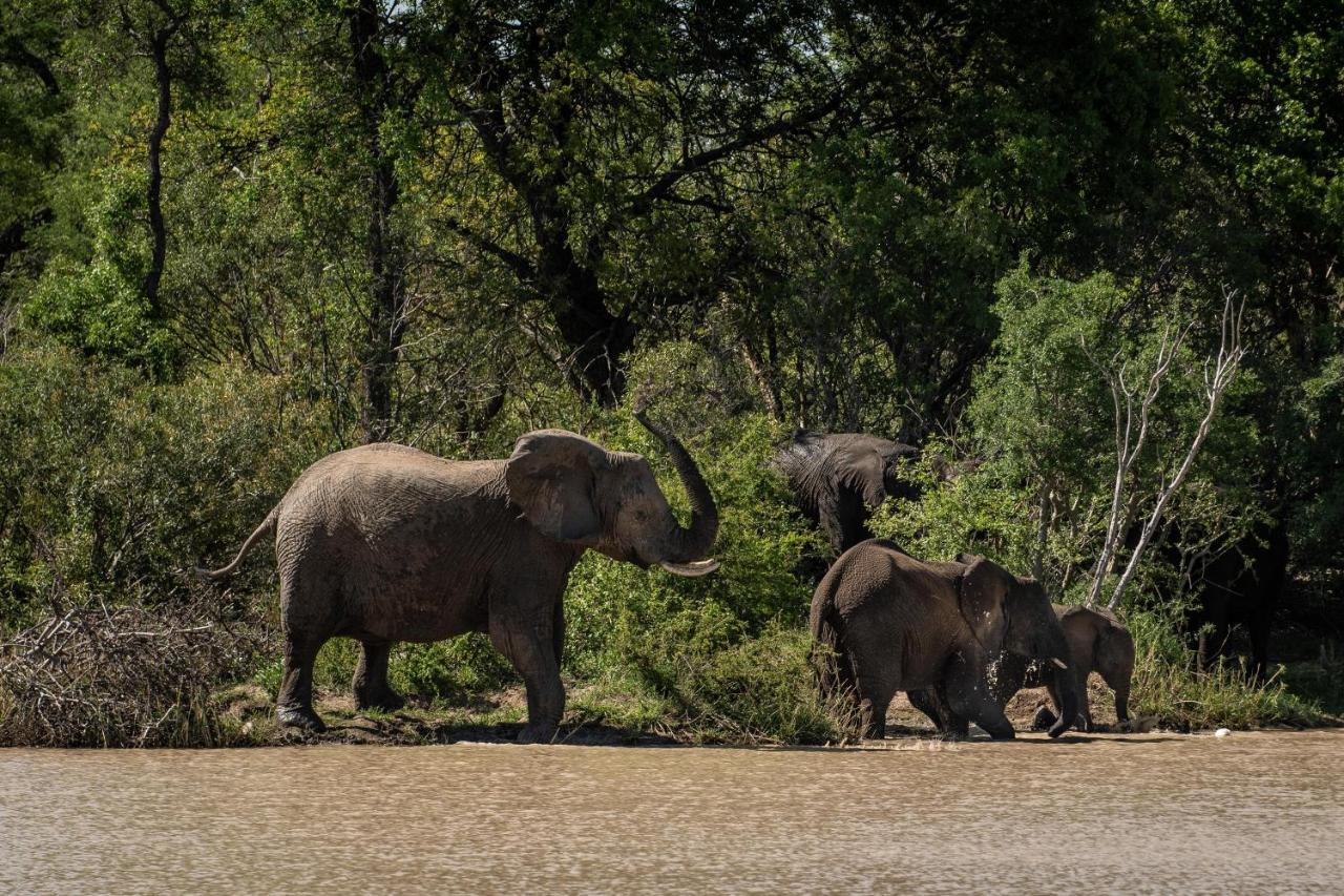 Вілла Kapama Southern Camp Kapama Game Reserve Екстер'єр фото