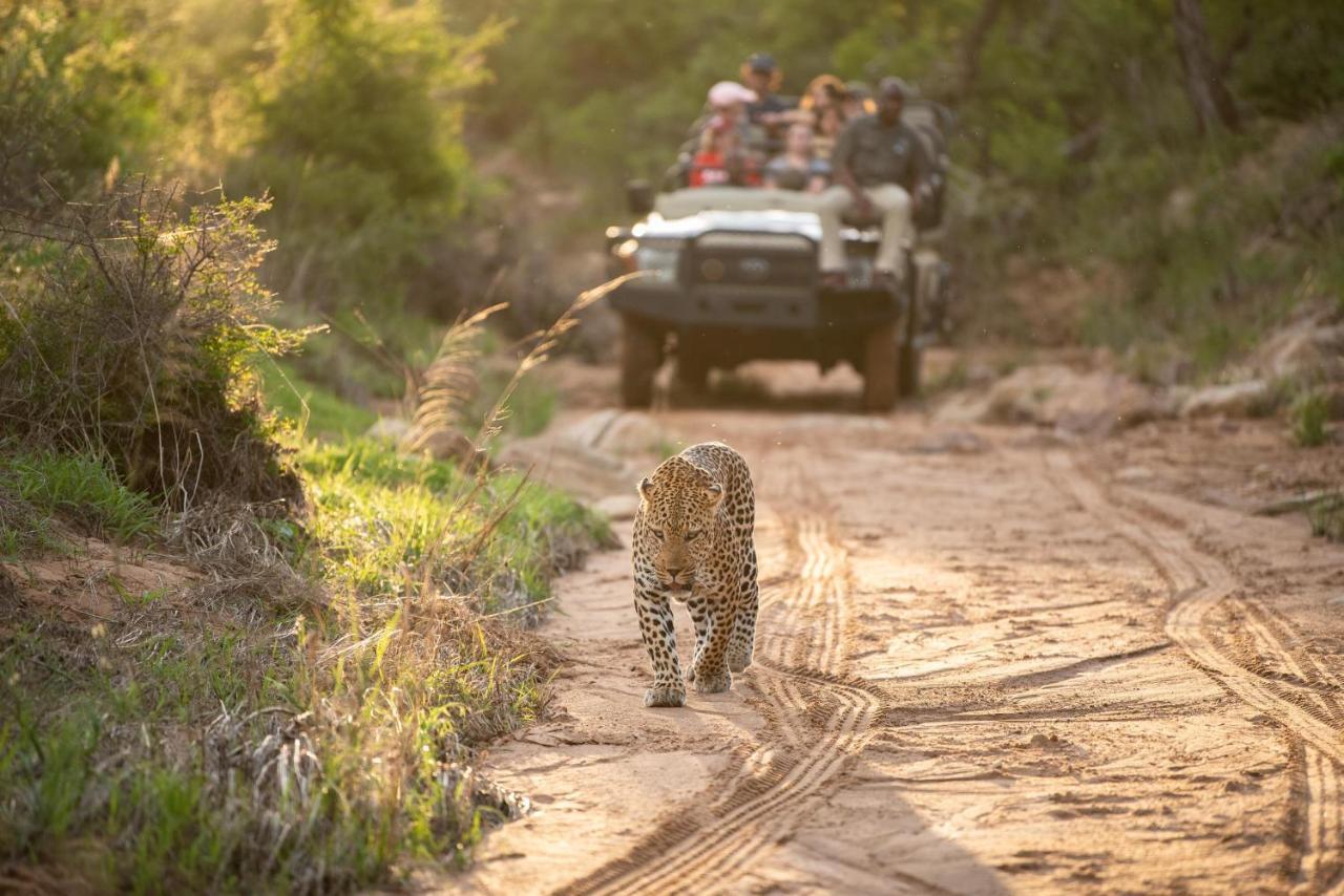 Вілла Kapama Southern Camp Kapama Game Reserve Екстер'єр фото