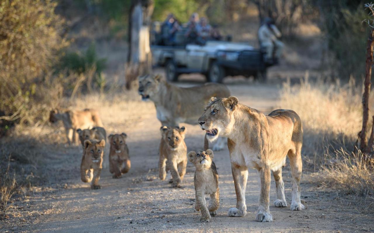 Вілла Kapama Southern Camp Kapama Game Reserve Екстер'єр фото